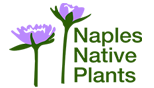 Naples Native Plant Society Logo | Cypress Cove Landkeepers